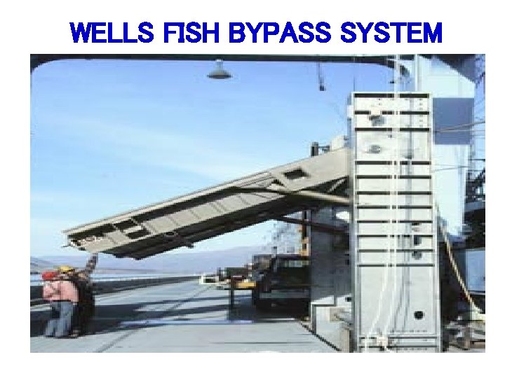 WELLS FISH BYPASS SYSTEM 