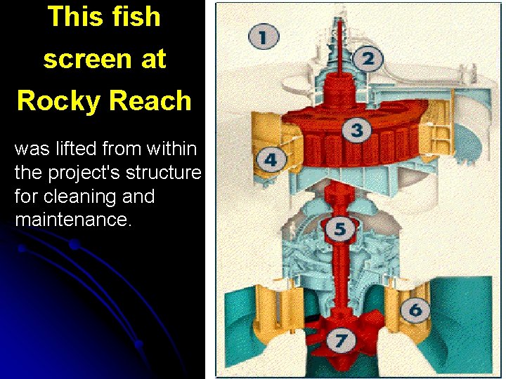 This fish screen at Rocky Reach was lifted from within the project's structure for