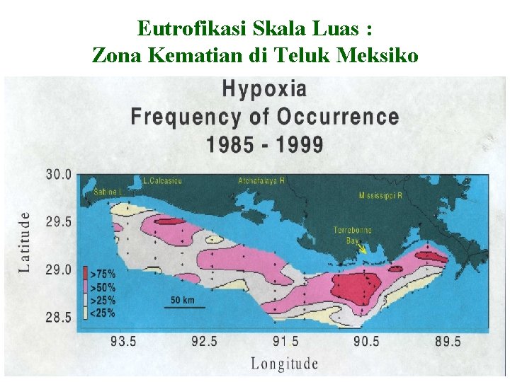 Eutrofikasi Skala Luas : Zona Kematian di Teluk Meksiko 