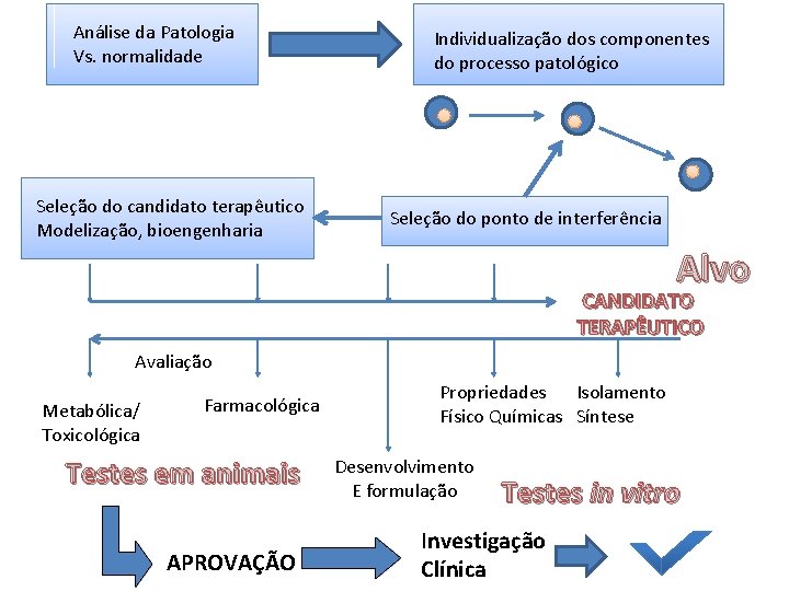 Análise da Patologia Vs. normalidade Seleção do candidato terapêutico Modelização, bioengenharia Individualização dos componentes