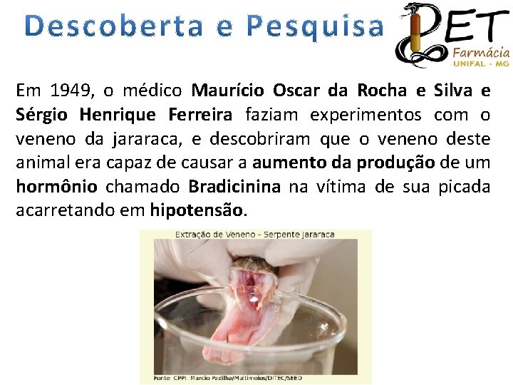 Em 1949, o médico Maurício Oscar da Rocha e Silva e Sérgio Henrique Ferreira