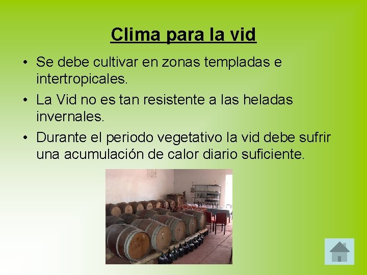 Clima para la vid • Se debe cultivar en zonas templadas e intertropicales. •