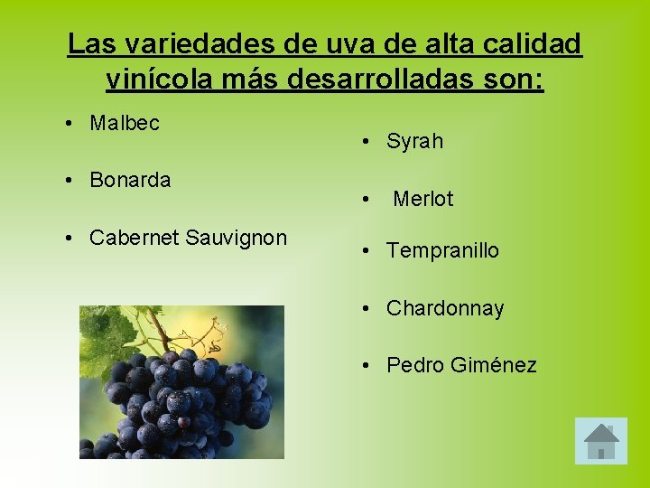 Las variedades de uva de alta calidad vinícola más desarrolladas son: • Malbec •