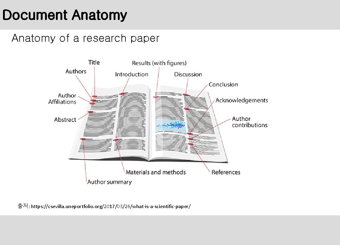 Document Anatomy of a research paper 출처: https: //csevilla. uneportfolio. org/2017/03/26/what-is-a-scientific-paper/ 