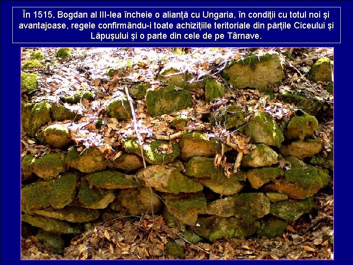 În 1515, Bogdan al III-lea încheie o alianţă cu Ungaria, în condiţii cu totul