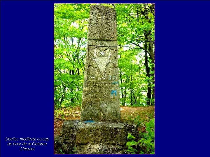 Obelisc medieval cu cap de bour de la Cetatea Ciceului 