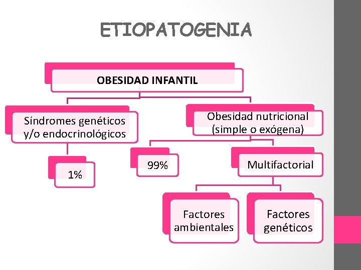 ETIOPATOGENIA OBESIDAD INFANTIL Obesidad nutricional (simple o exógena) Síndromes genéticos y/o endocrinológicos 1% Multifactorial