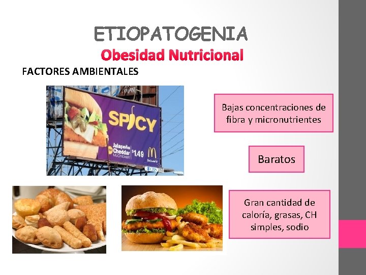 ETIOPATOGENIA Obesidad Nutricional FACTORES AMBIENTALES Bajas concentraciones de fibra y micronutrientes Baratos Gran cantidad