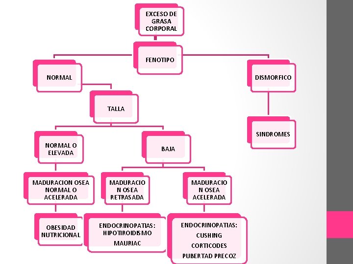 EXCESO DE GRASA CORPORAL FENOTIPO NORMAL DISMORFICO TALLA SINDROMES NORMAL O ELEVADA BAJA MADURACION