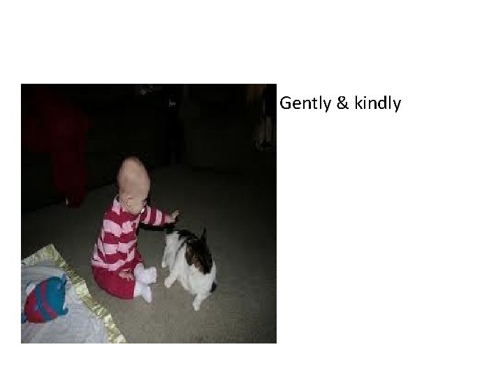 • Gently & kindly 
