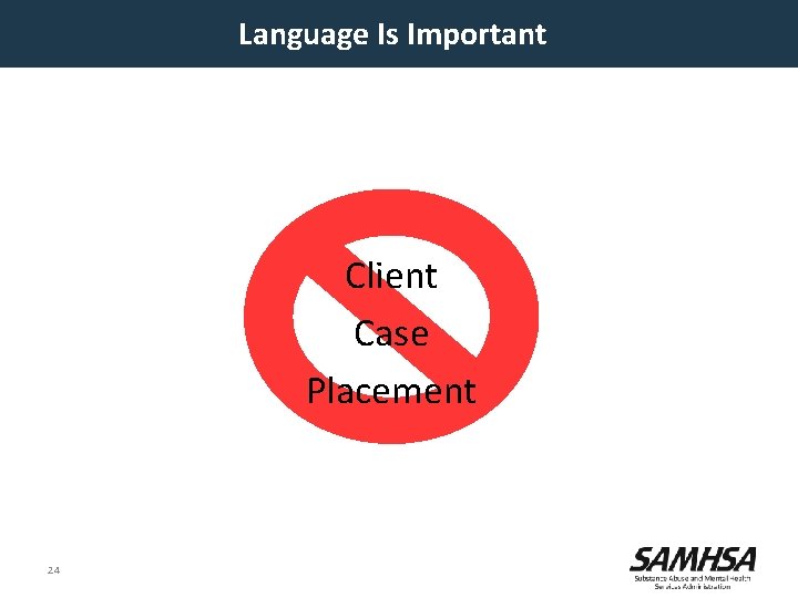 Language Is Important Client Case Placement 24 