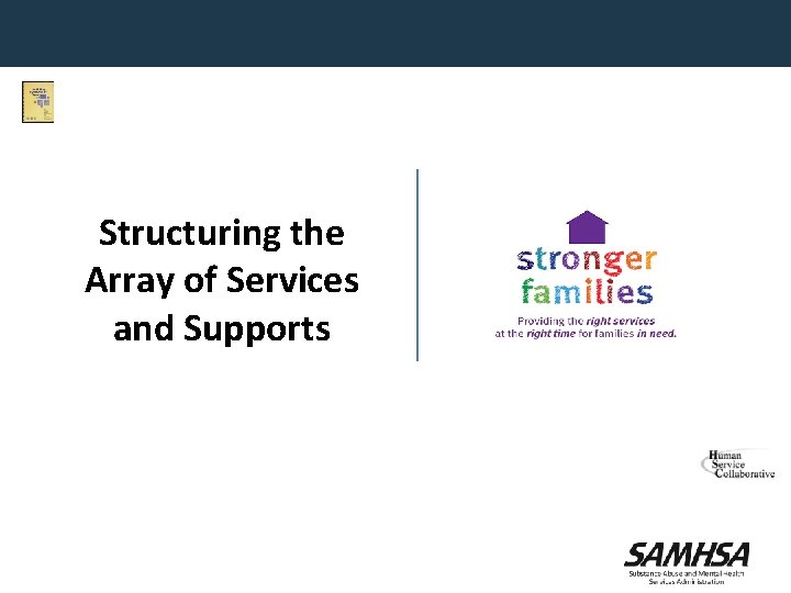 Structuring the Array of Services and Supports 