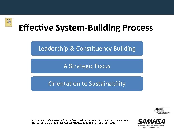 Effective. System-Building. Process Leadership & Constituency Building A Strategic Focus Orientation to Sustainability Pires,