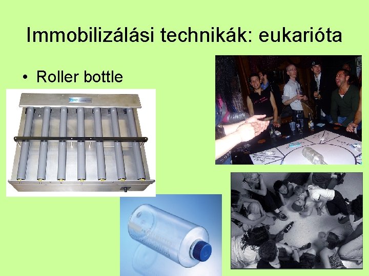 Immobilizálási technikák: eukarióta • Roller bottle 
