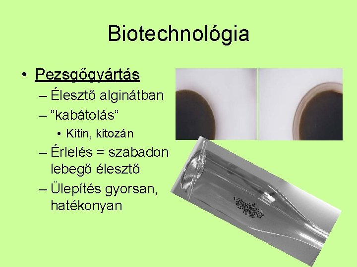 Biotechnológia • Pezsgőgyártás – Élesztő alginátban – “kabátolás” • Kitin, kitozán – Érlelés =