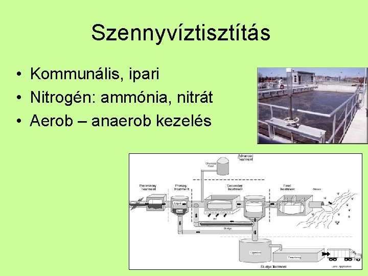 Szennyvíztisztítás • Kommunális, ipari • Nitrogén: ammónia, nitrát • Aerob – anaerob kezelés 