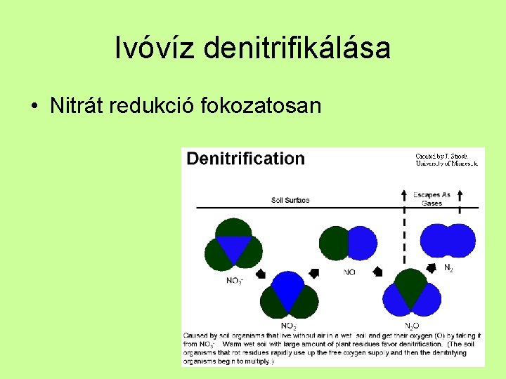 Ivóvíz denitrifikálása • Nitrát redukció fokozatosan 