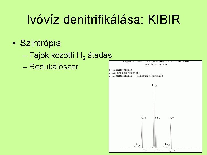 Ivóvíz denitrifikálása: KIBIR • Szintrópia – Fajok közötti H 2 átadás – Redukálószer 