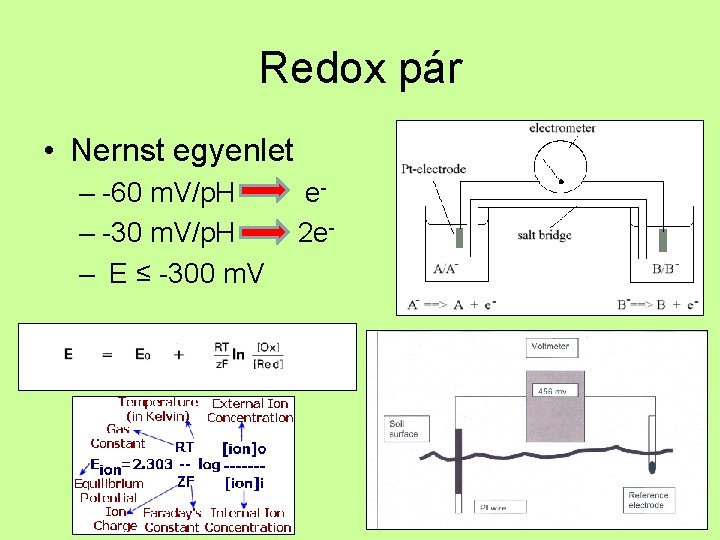 Redox pár • Nernst egyenlet – -60 m. V/p. H – -30 m. V/p.