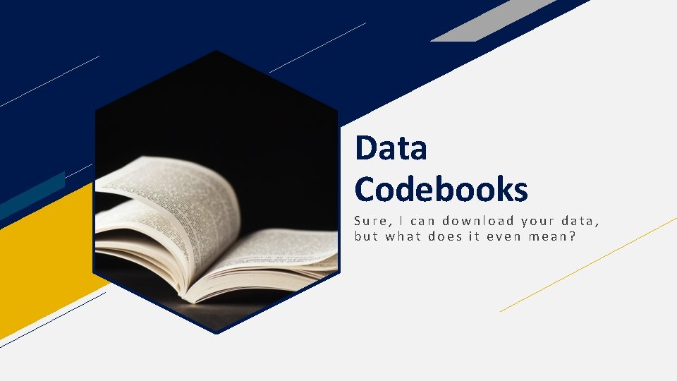 Data Codebooks Sure, I can download your data, but what does it even mean?