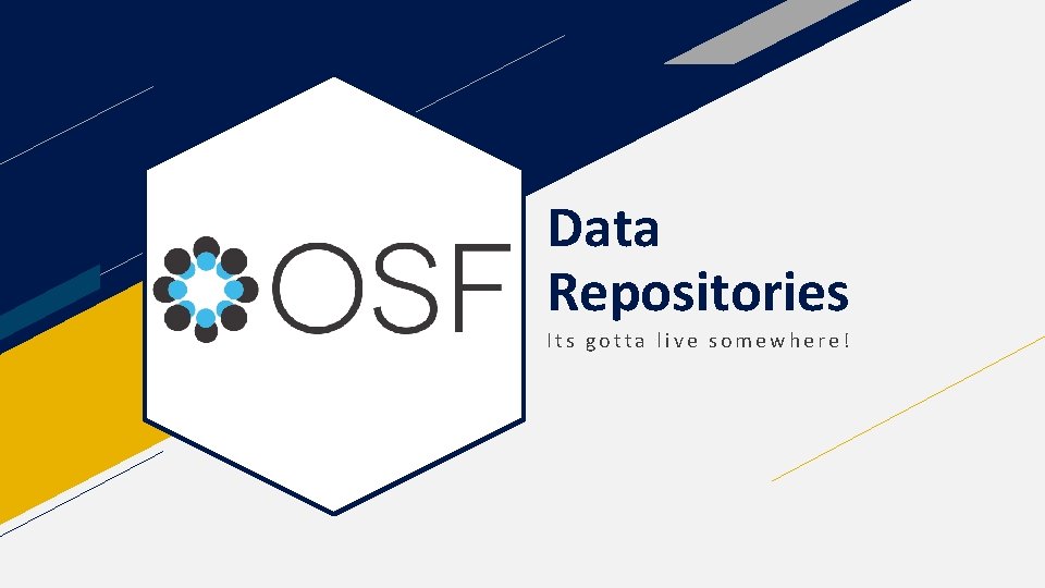 Data Repositories Its gotta live somewhere! 