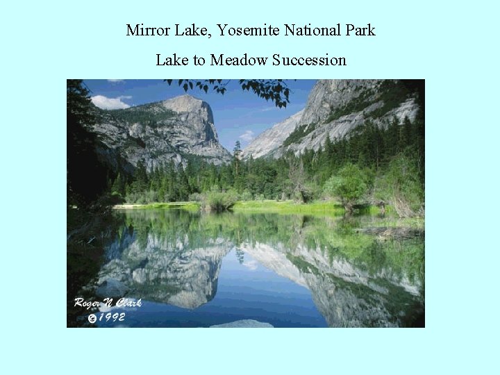 Mirror Lake, Yosemite National Park Lake to Meadow Succession 