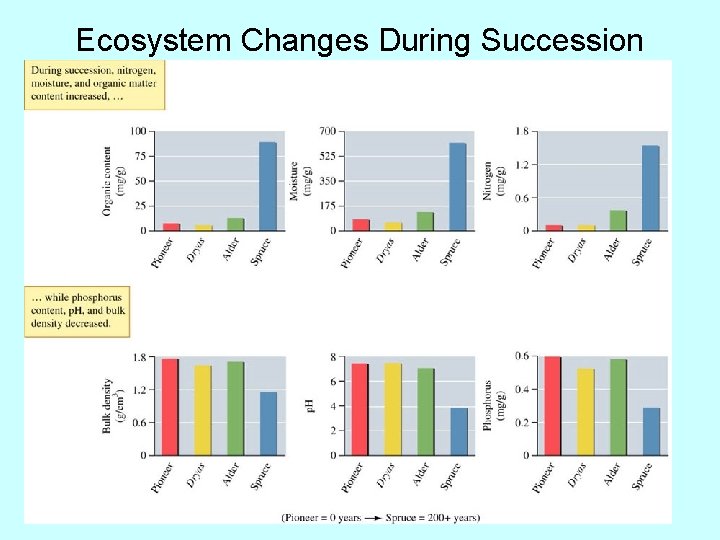 Ecosystem Changes During Succession 