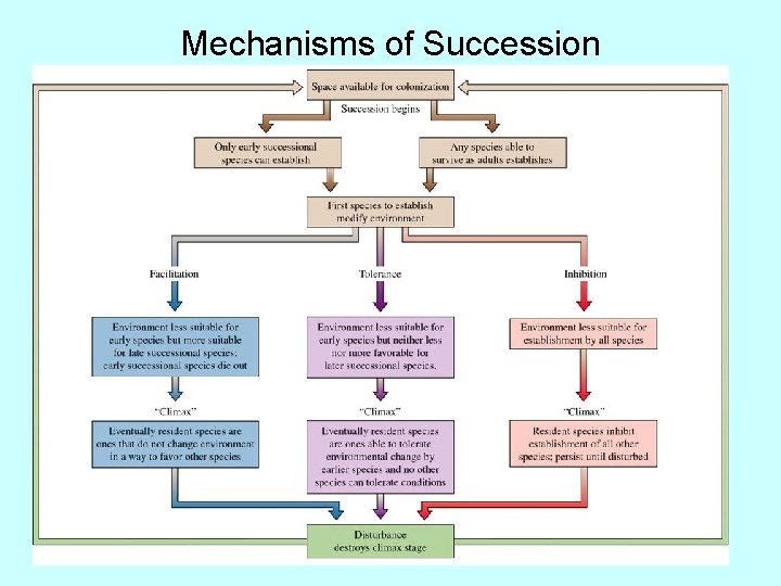 Mechanisms of Succession 