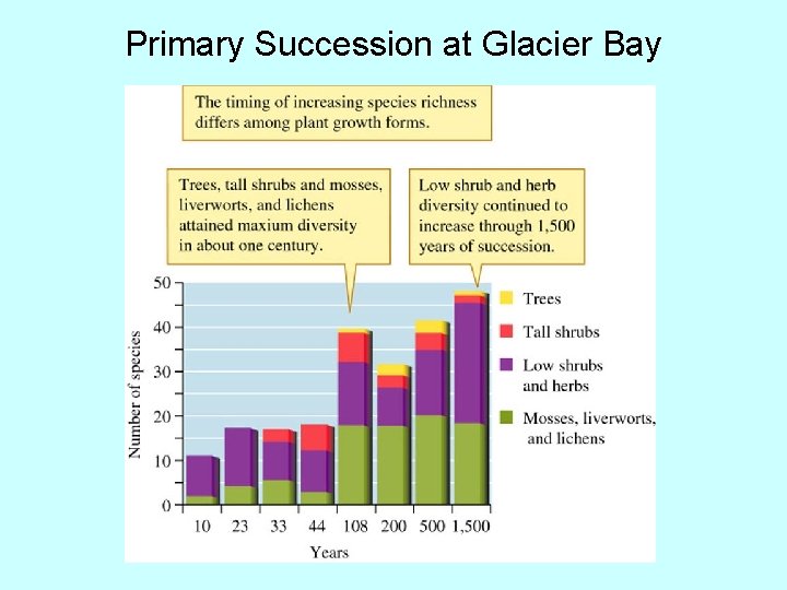 Primary Succession at Glacier Bay 