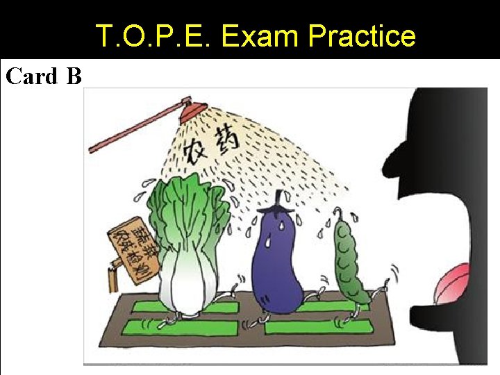 T. O. P. E. Exam Practice Card B 