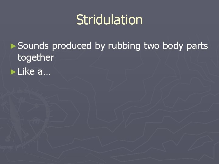 Stridulation ► Sounds produced by rubbing two body parts together ► Like a… 