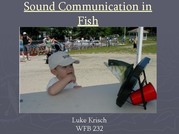 Sound Communication in Fish Luke Krisch WFB 232 