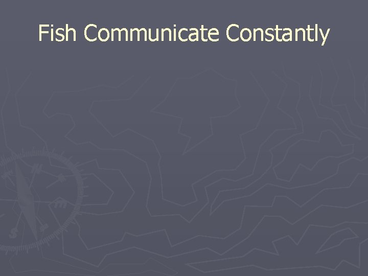 Fish Communicate Constantly 