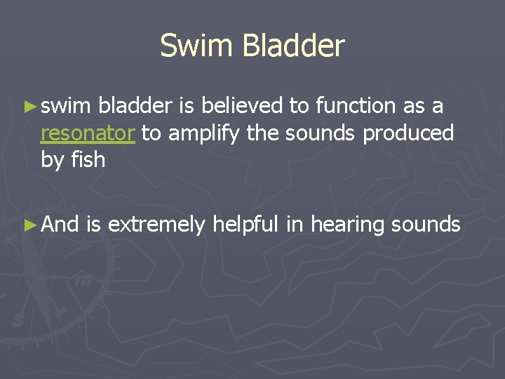 Swim Bladder ► swim bladder is believed to function as a resonator to amplify