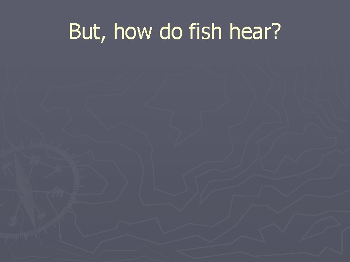 But, how do fish hear? 