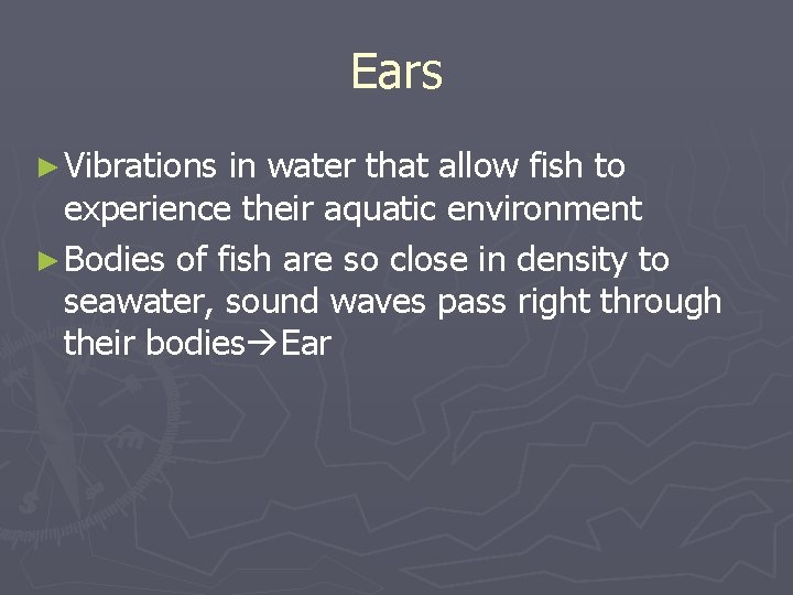 Ears ► Vibrations in water that allow fish to experience their aquatic environment ►