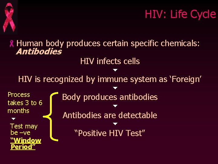 HIV: Life Cycle -Human body produces certain specific chemicals: Antibodies HIV infects cells HIV