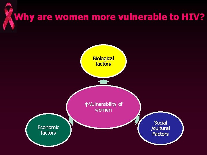 Why are women more vulnerable to HIV? Biological factors Vulnerability of women Economic factors