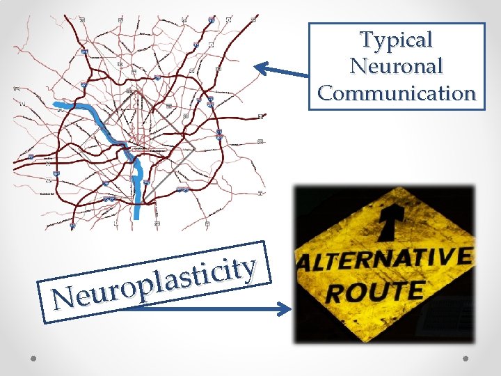 Typical Neuronal Communication y t i c i t s a l p o