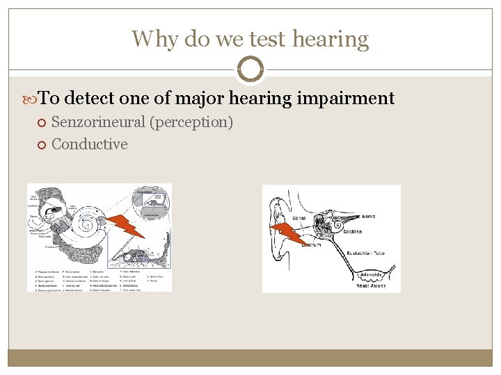 Why do we test hearing To detect one of major hearing impairment Senzorineural (perception)