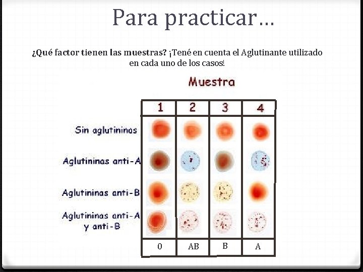 Para practicar… ¿Qué factor tienen las muestras? ¡Tené en cuenta el Aglutinante utilizado en