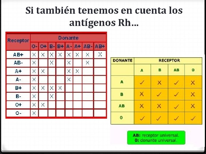 Si también tenemos en cuenta los antígenos Rh… 