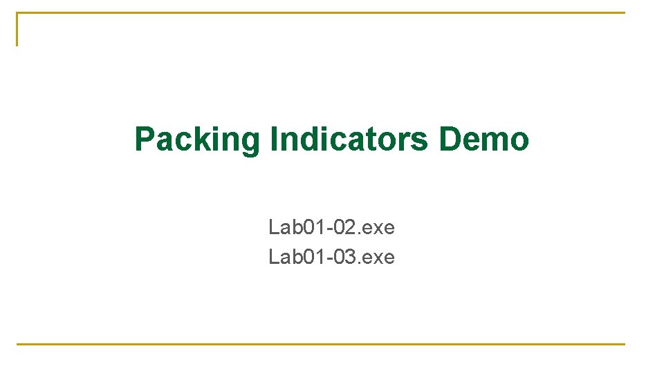 Packing Indicators Demo Lab 01 -02. exe Lab 01 -03. exe 