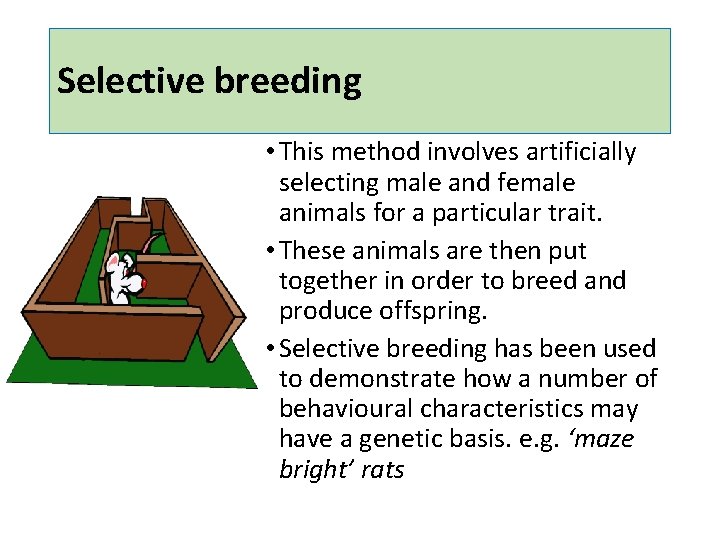 Selective breeding • This method involves artificially selecting male and female animals for a