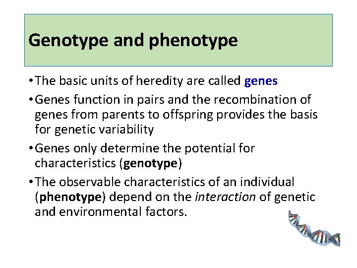 Genotype and phenotype • The basic units of heredity are called genes • Genes