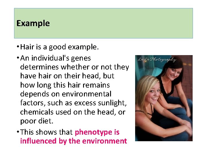 Example • Hair is a good example. • An individual's genes determines whether or