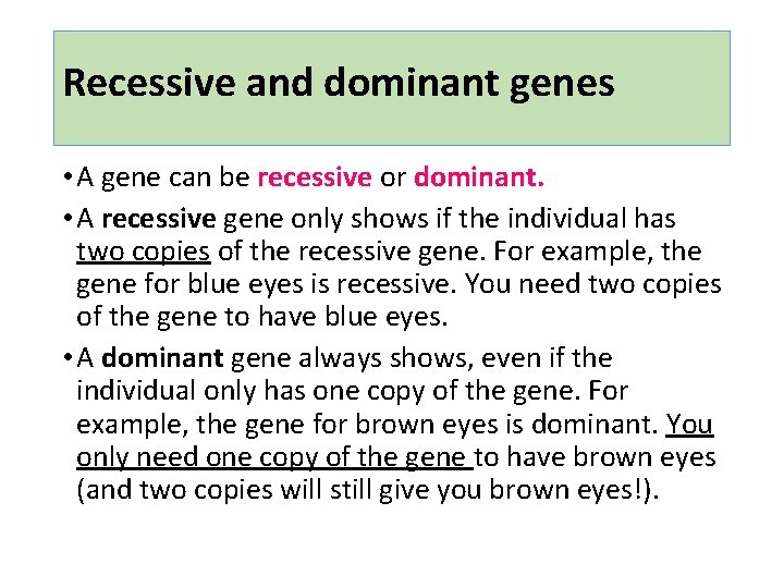 Recessive and dominant genes • A gene can be recessive or dominant. • A