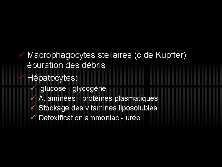 ü Macrophagocytes stellaires (c de Kupffer) épuration des débris ü Hépatocytes: ü ü glucose