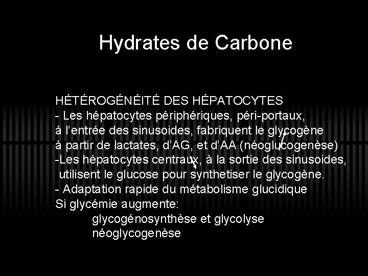 Hydrates de Carbone HÉTÉROGÉNÉITÉ DES HÉPATOCYTES - Les hépatocytes périphériques, péri-portaux, à l’entrée des