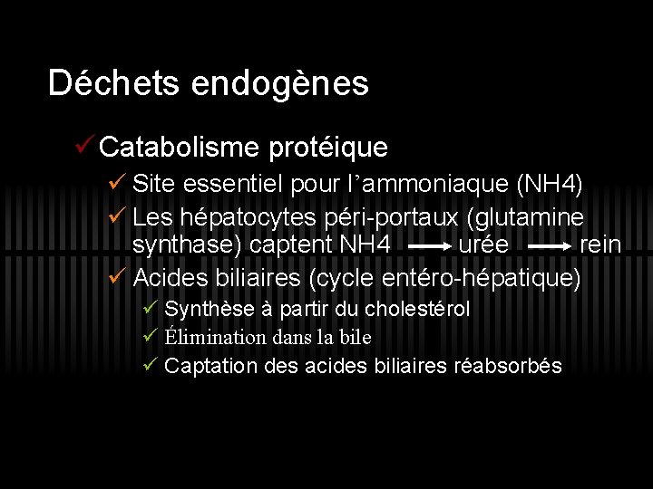 Déchets endogènes ü Catabolisme protéique ü Site essentiel pour l’ammoniaque (NH 4) ü Les